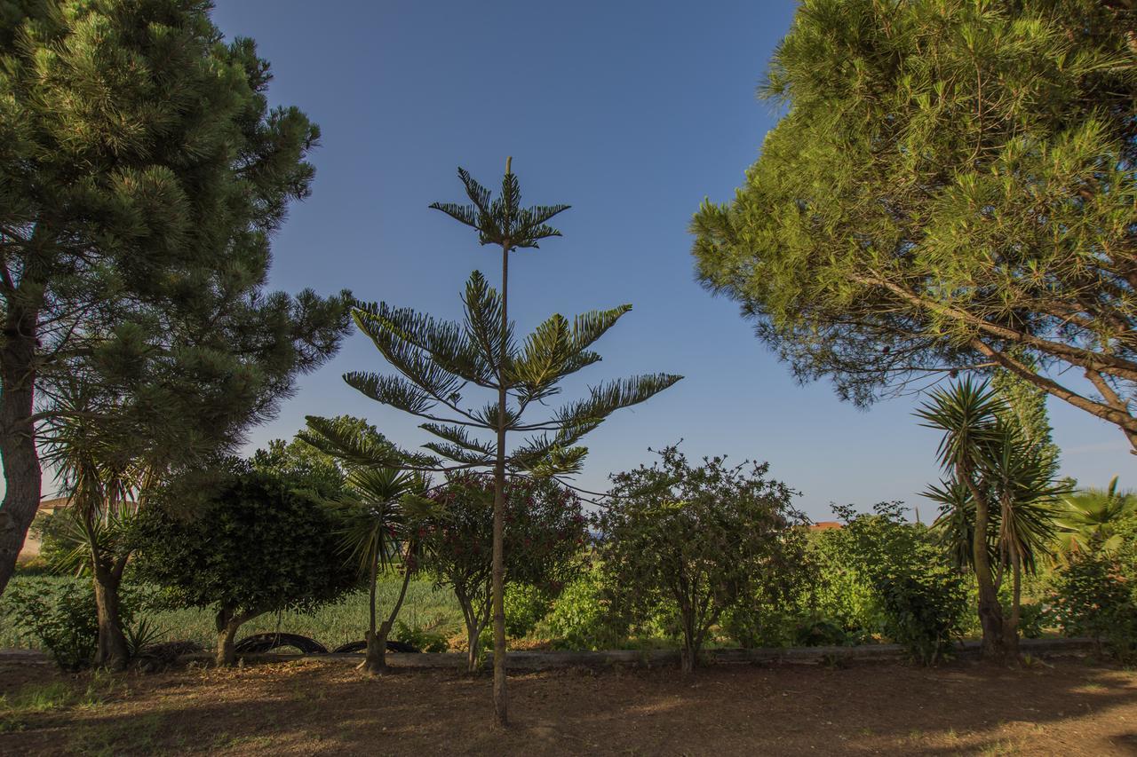 Porto Giardino Apartments Ζάκυνθος Πόλη Εξωτερικό φωτογραφία